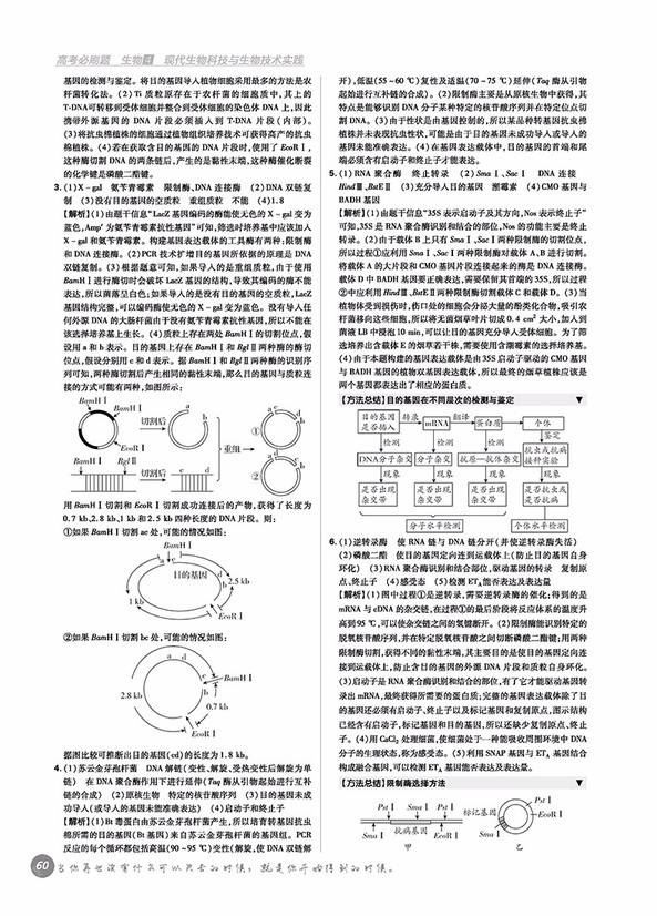 2019高考必刷題生物4現(xiàn)代生物科技與生物技術實踐參考答案