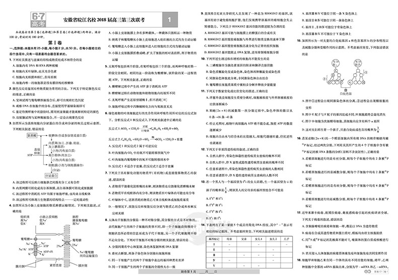 2019新課標(biāo)全國卷高考必刷卷生物42套參考答案