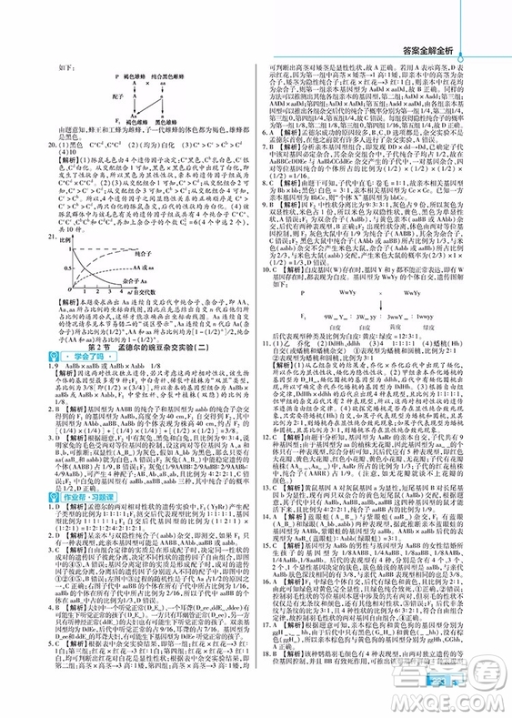 2019教材幫高中生物必修2人教版參考答案