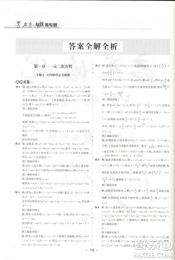 2018版啟東培優(yōu)微專題九年級(jí)數(shù)與代數(shù)參考答案