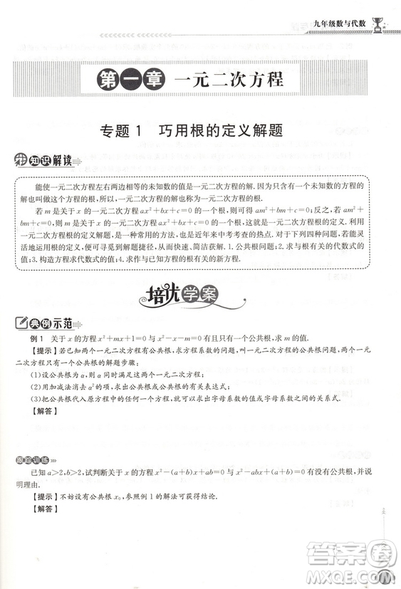 2018版啟東培優(yōu)微專題九年級(jí)數(shù)與代數(shù)參考答案