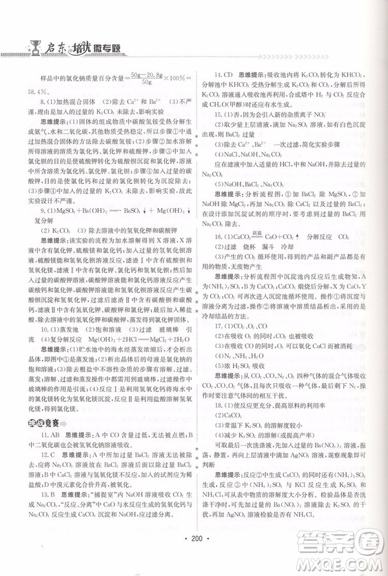 2018新版啟東培優(yōu)微專題九年級化學參考答案