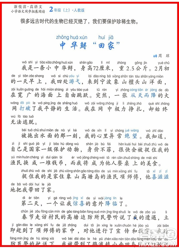2018年小桔豆人教版小學(xué)語文同步拓展閱讀二年級(jí)上冊參考答案