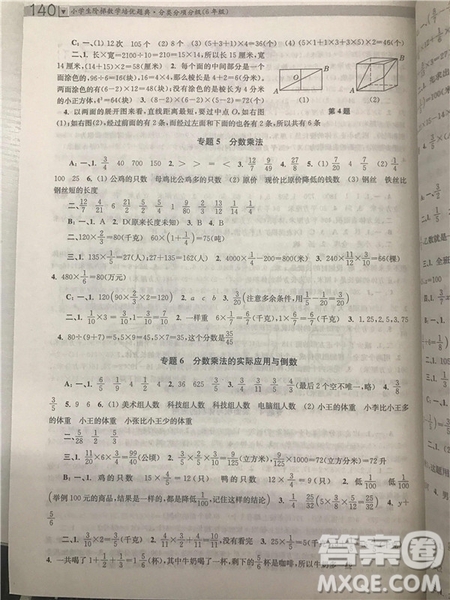 2018年南大輔教小學(xué)生階梯數(shù)學(xué)培優(yōu)題典六年級參考答案