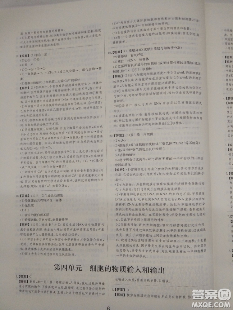 愛學習刷題狗高考生物參考答案