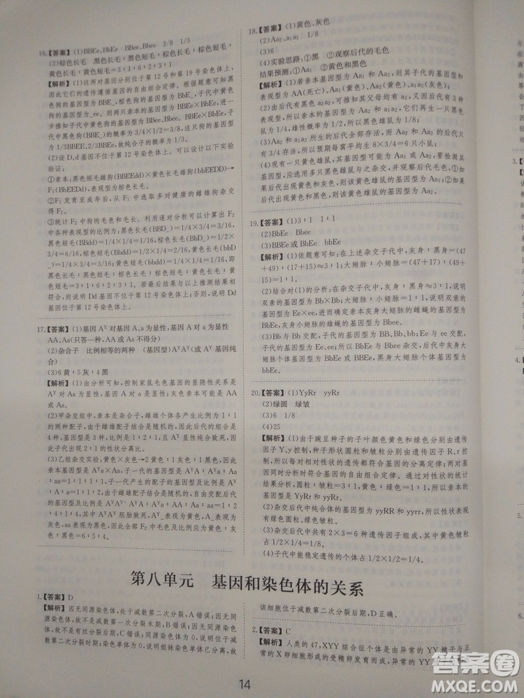 愛學習刷題狗高考生物參考答案