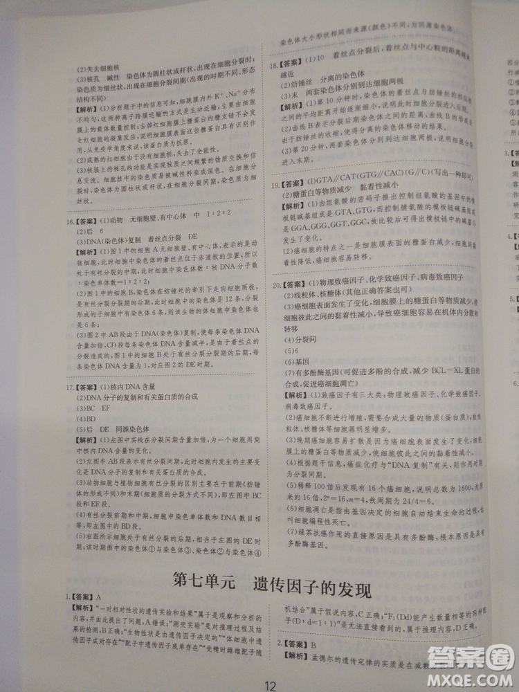 愛學習刷題狗高考生物參考答案