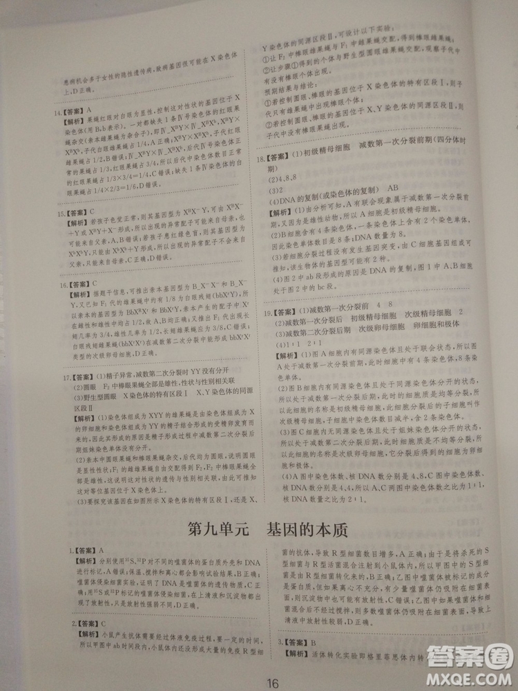 愛學習刷題狗高考生物參考答案