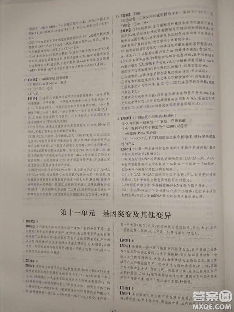 愛學習刷題狗高考生物參考答案