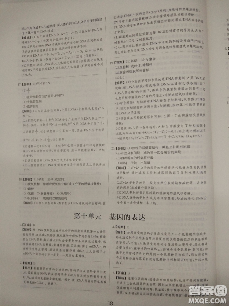 愛學習刷題狗高考生物參考答案