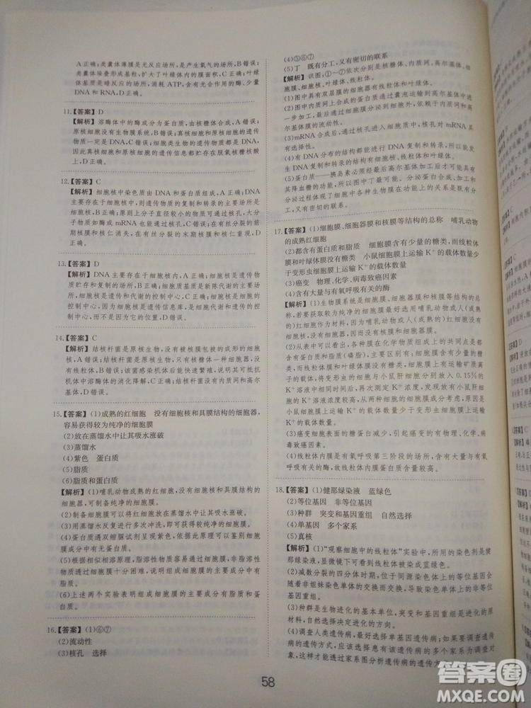 愛學習刷題狗高考生物參考答案