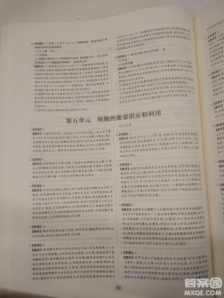 愛學習刷題狗高考生物參考答案