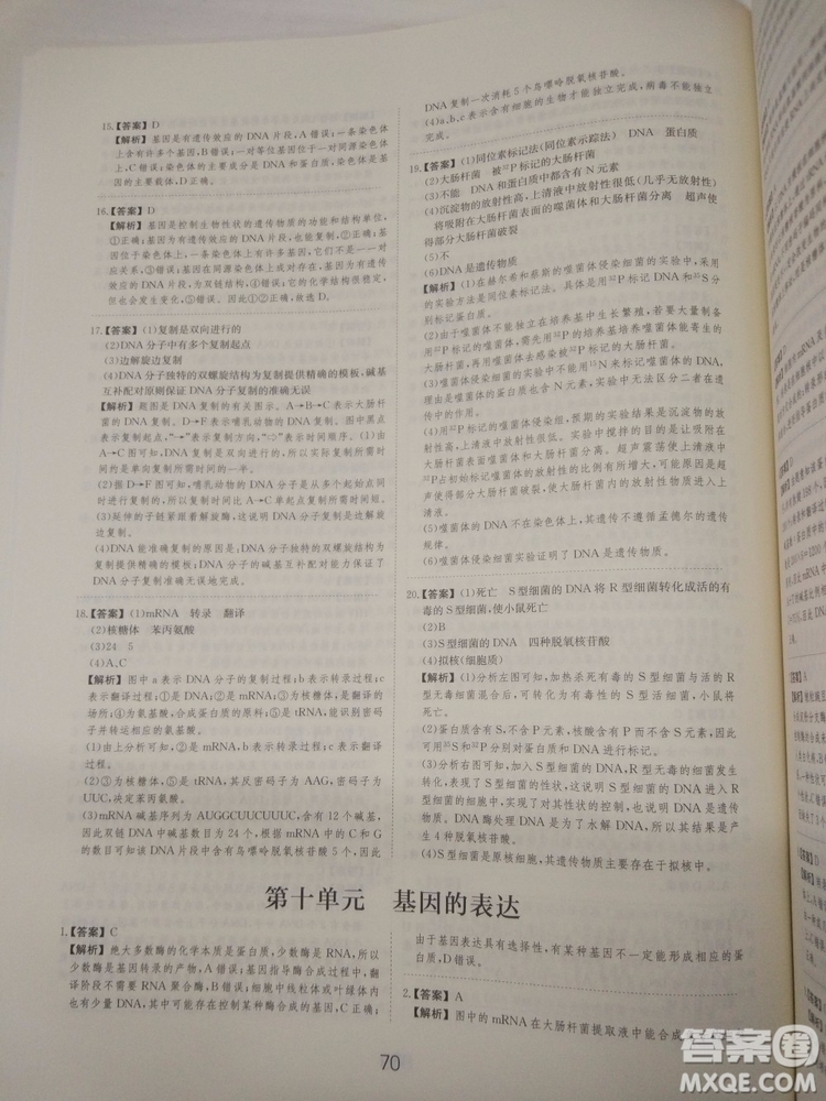 愛學習刷題狗高考生物參考答案