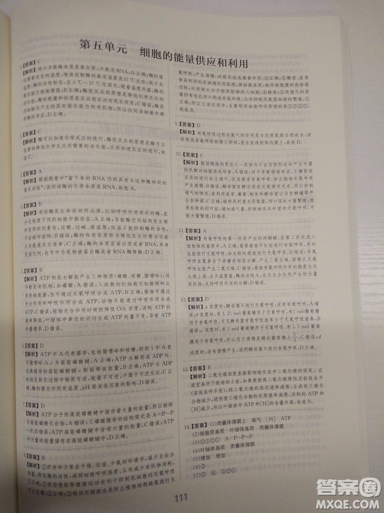 愛學習刷題狗高考生物參考答案
