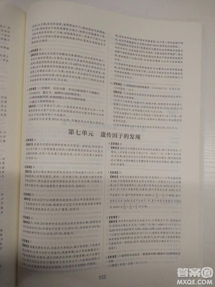 愛學習刷題狗高考生物參考答案