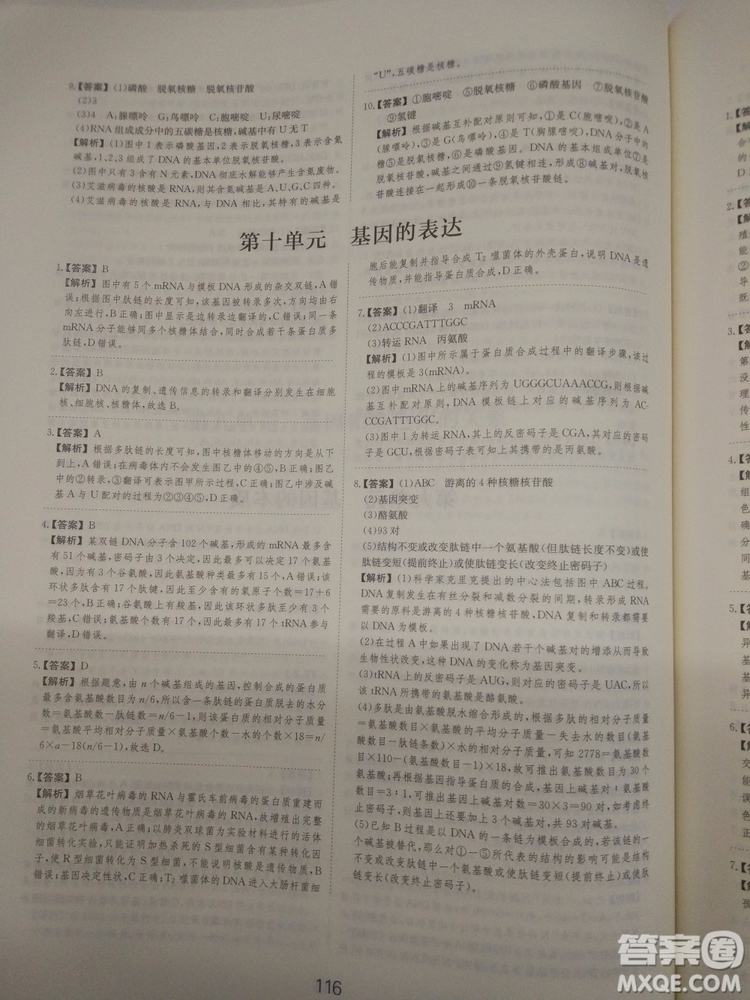 愛學習刷題狗高考生物參考答案
