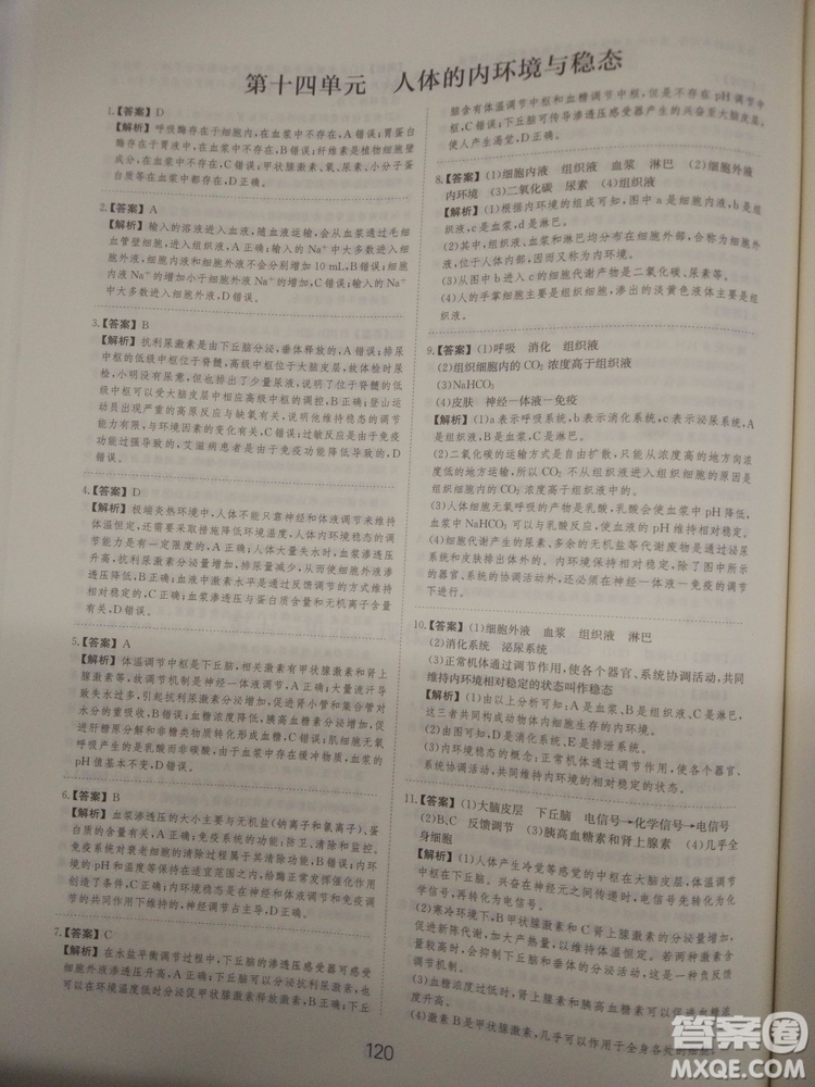 愛學習刷題狗高考生物參考答案