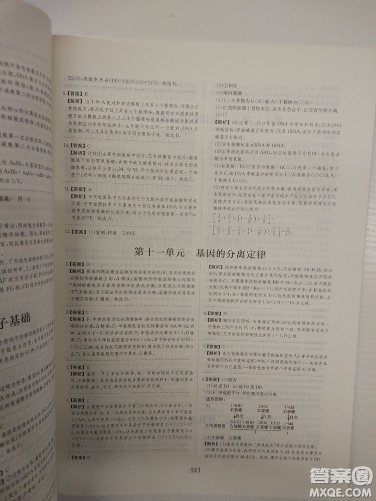 愛學習刷題狗高考生物參考答案