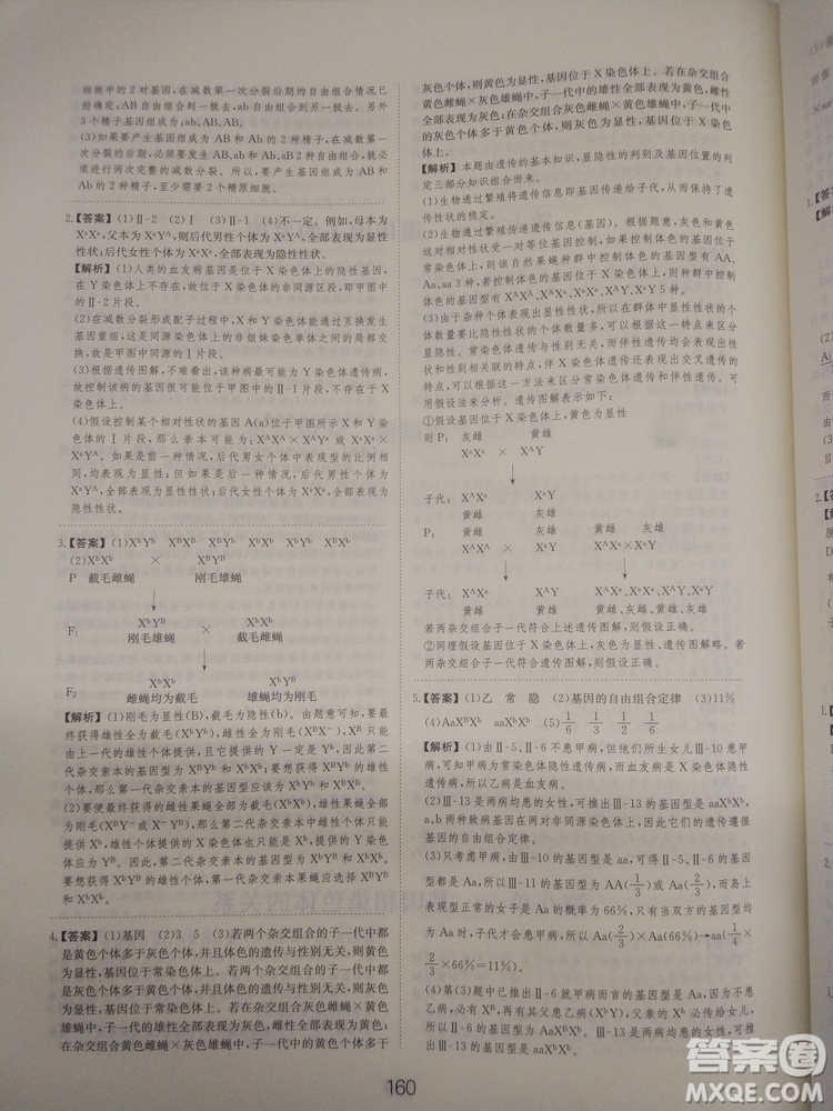 愛學習刷題狗高考生物參考答案