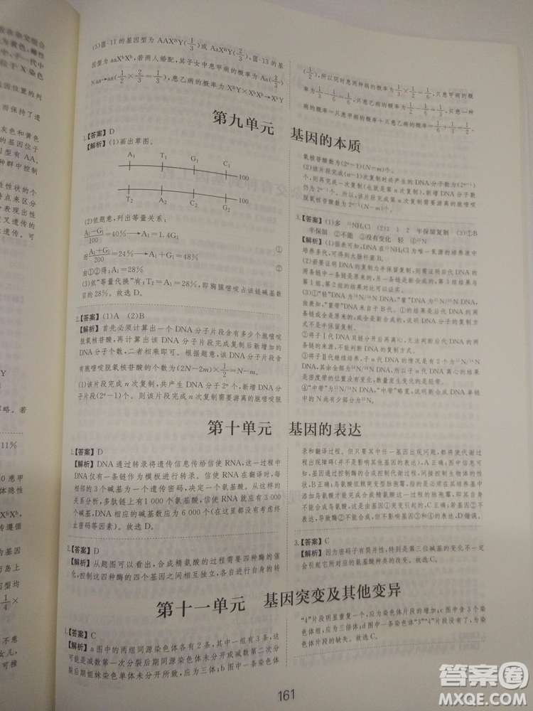 愛學習刷題狗高考生物參考答案