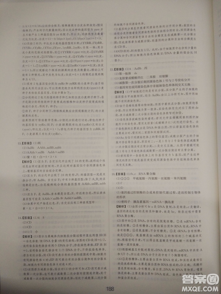 愛學習刷題狗高考生物參考答案