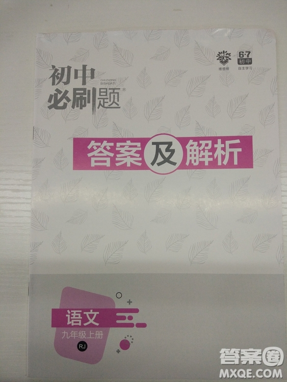 2019人教版初中必刷題語文九年級(jí)上冊(cè)參考答案