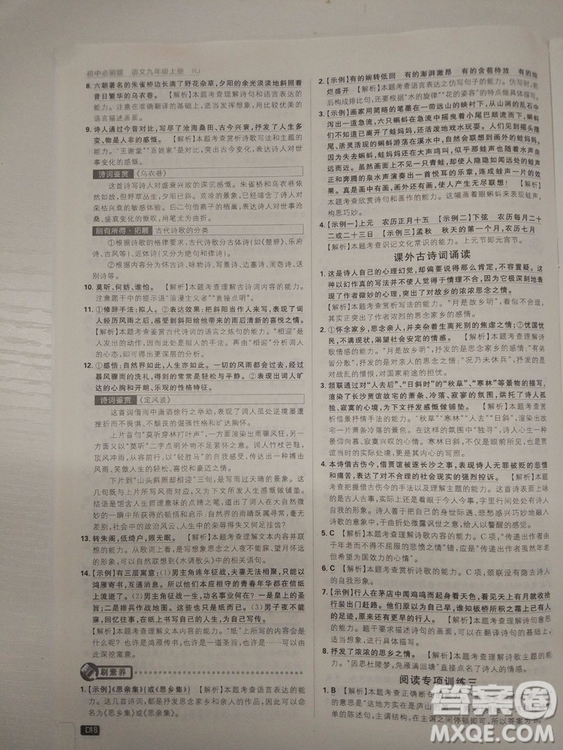 2019人教版初中必刷題語文九年級(jí)上冊(cè)參考答案