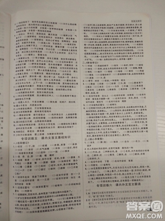 2019人教版初中必刷題語文九年級(jí)上冊(cè)參考答案