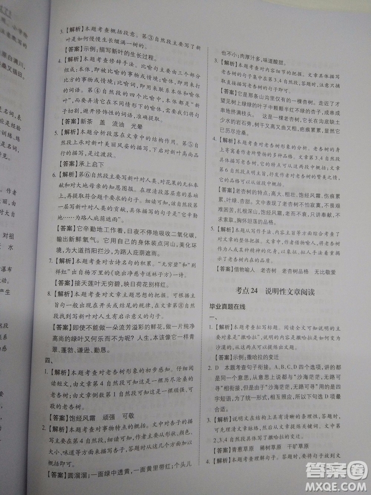 名校沖刺小升初銜接教材2018新版語文總復(fù)習答案
