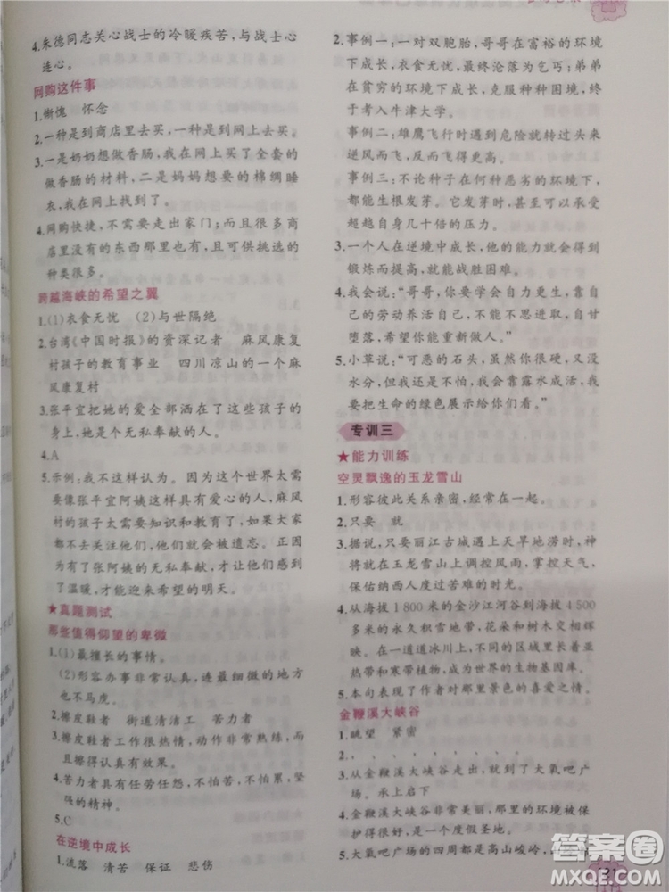 2018年老蔡幫小學語文閱讀績優(yōu)訓練四年級參考答案