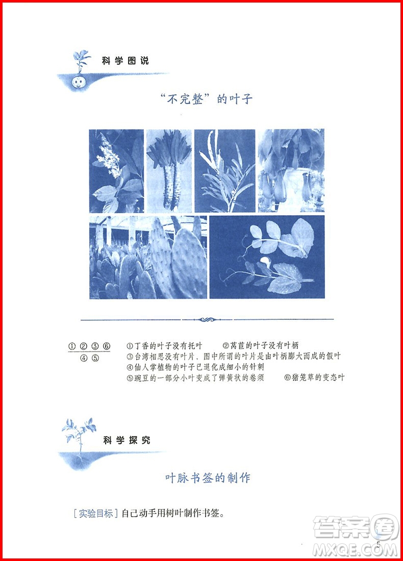 2018年三年級全一冊親近母語親近科學(xué)參考答案