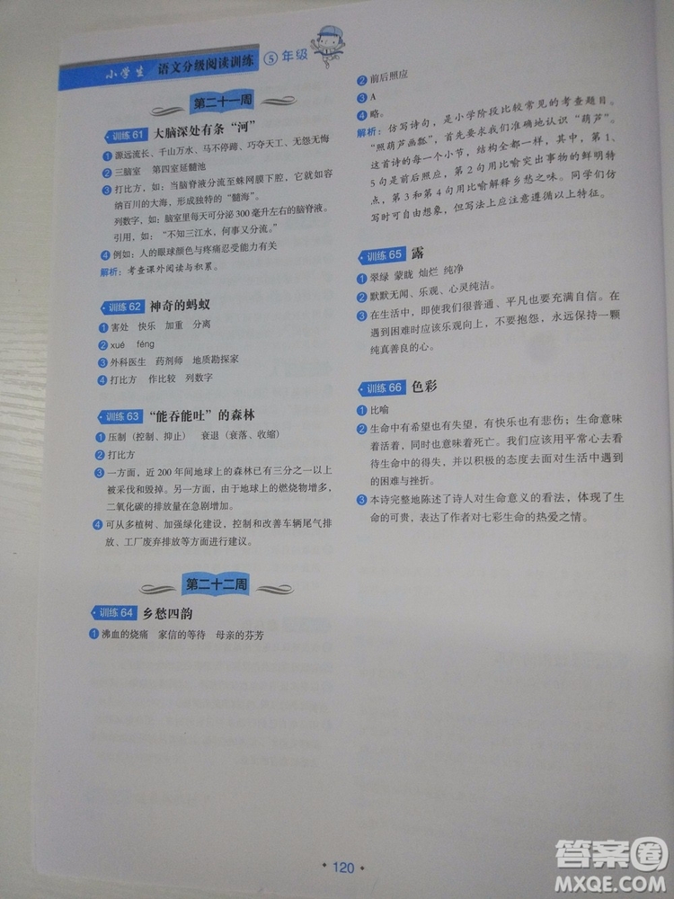 分級閱讀訓(xùn)練小學(xué)生語文5年級2018新版答案