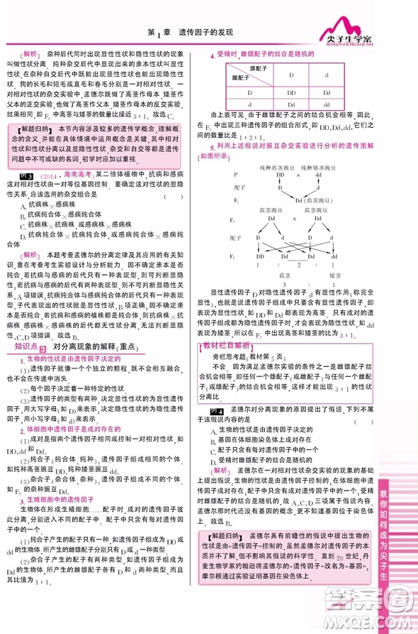 吉林人民出版社2019尖子生學(xué)案新課標(biāo)人教版生物必修2參考答案