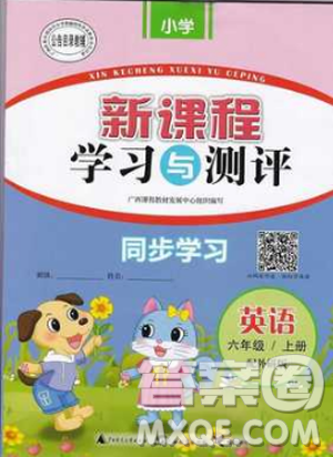 2018新課程學習與測評同步學習六年級上冊英語書外研版答案