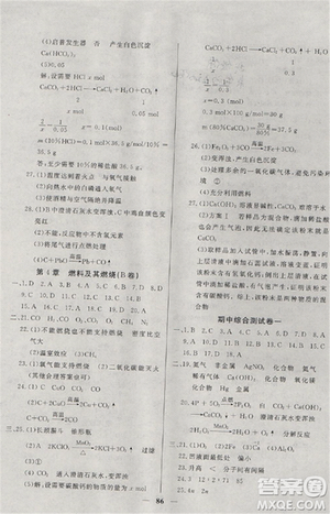 2018版金牌教練九年級化學(xué)上冊參考答案