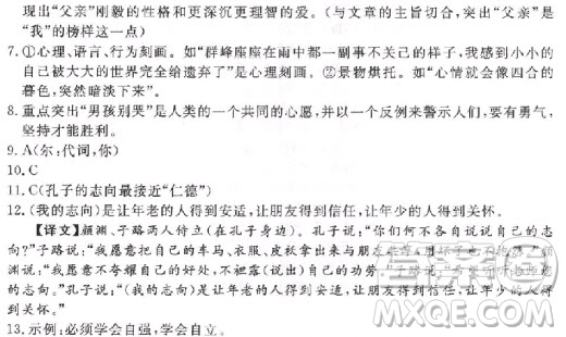 2018年學(xué)練優(yōu)核心素養(yǎng)提升訓(xùn)練七年級上語文人教版武漢專用參考答案