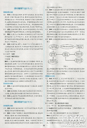 2018人教版同步導學案課時練生物必修3參考答案