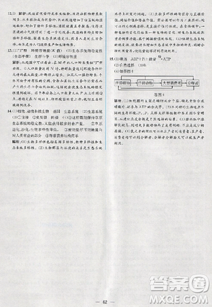 2018人教版同步導學案課時練生物必修3參考答案
