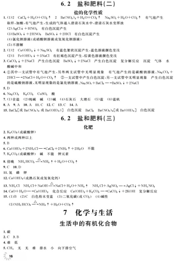 2018全新修訂版鐘書金牌上海作業(yè)九年級(jí)上化學(xué)參考答案