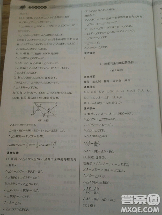 2018北師大版九年級(jí)上冊(cè)數(shù)學(xué)課堂精練第5版參考答案