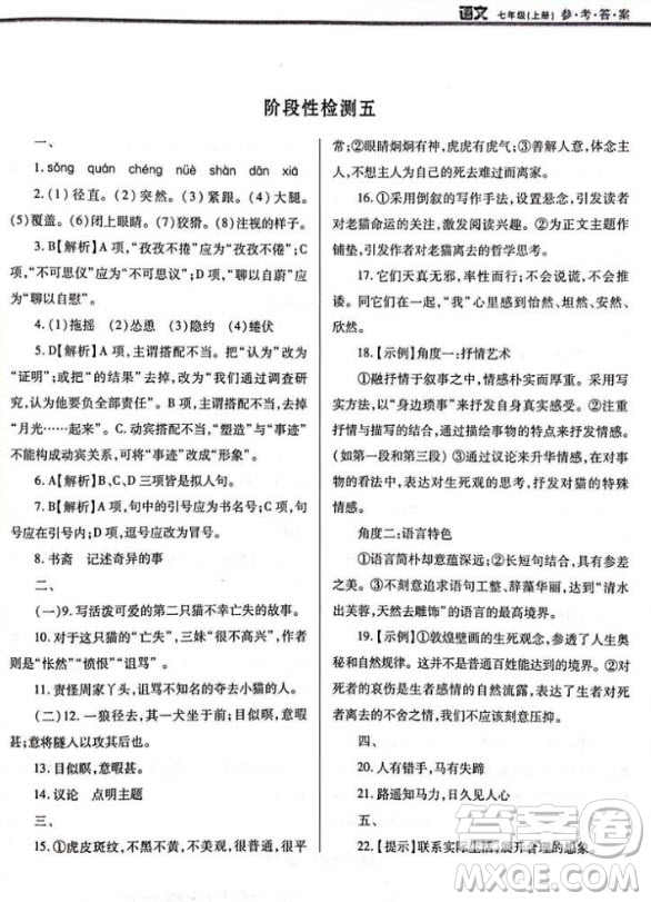 學(xué)習(xí)質(zhì)量監(jiān)測七年級語文2018人教版答案