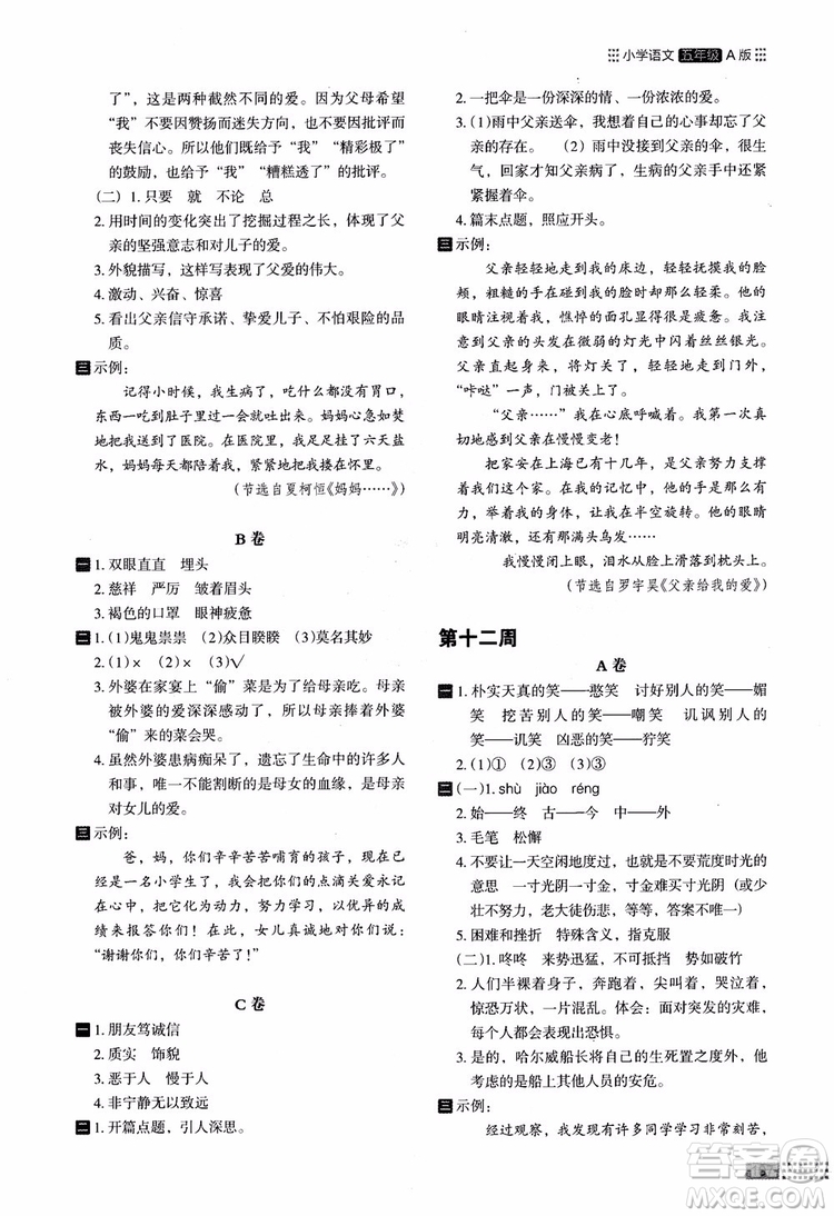 2018年木頭馬閱讀小卷小學語文5年級A版參考答案