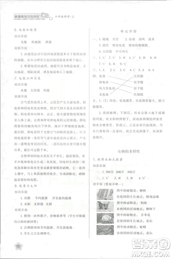 2018年新版小學(xué)生新課程學(xué)習(xí)與評價六年級科學(xué)上冊K版人教版答案