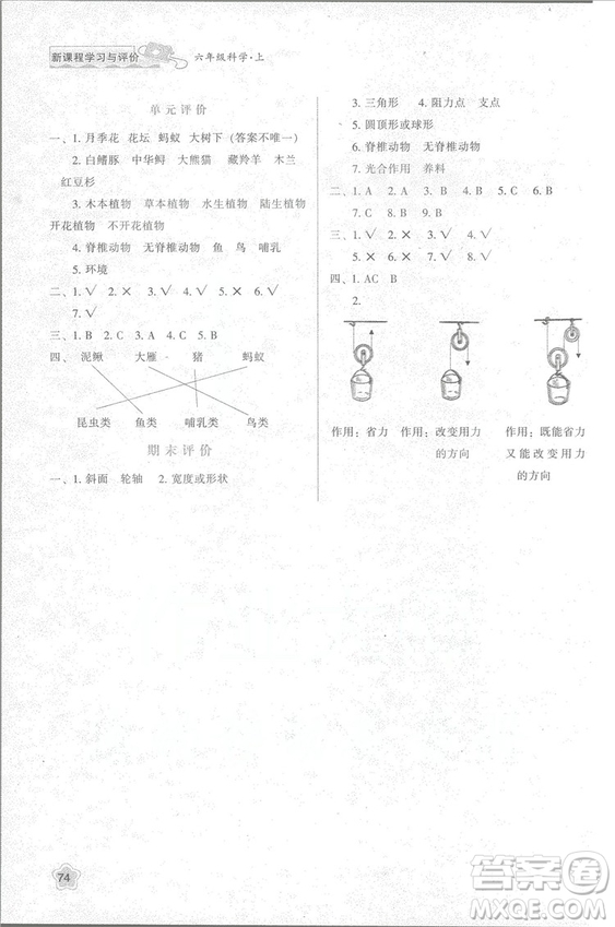 2018年新版小學(xué)生新課程學(xué)習(xí)與評價六年級科學(xué)上冊K版人教版答案