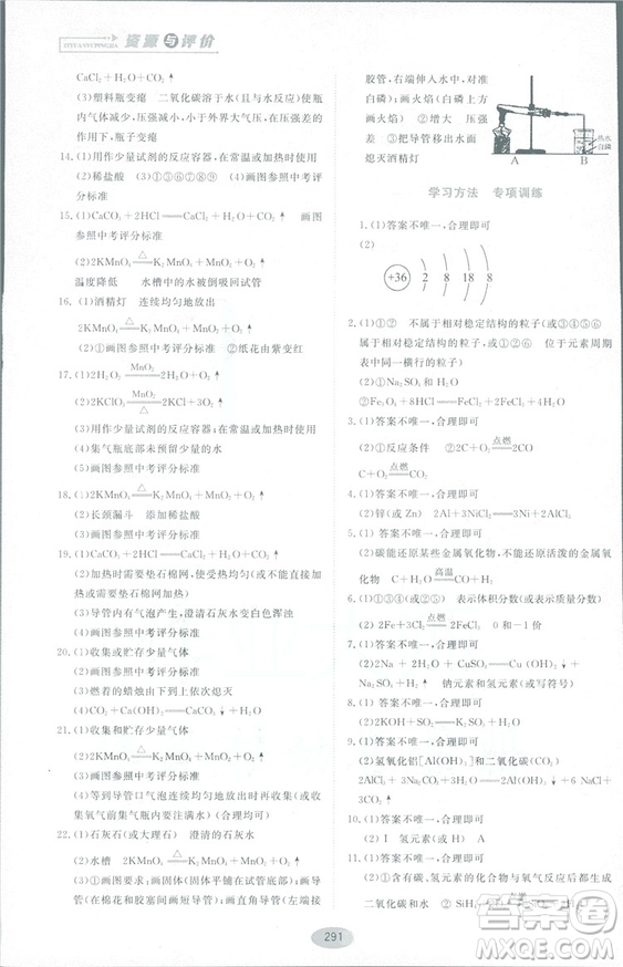 2018資源與評(píng)價(jià)九年級(jí)化學(xué)全一冊(cè)人教版參考答案