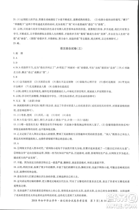 2018年資源與評(píng)價(jià)中考全程總復(fù)習(xí)語(yǔ)文D版參考答案
