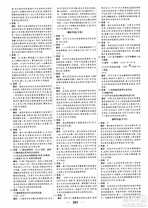 2019衡水重點(diǎn)中學(xué)高考調(diào)研同步精講精練新課標(biāo)版生物必修1參考答案