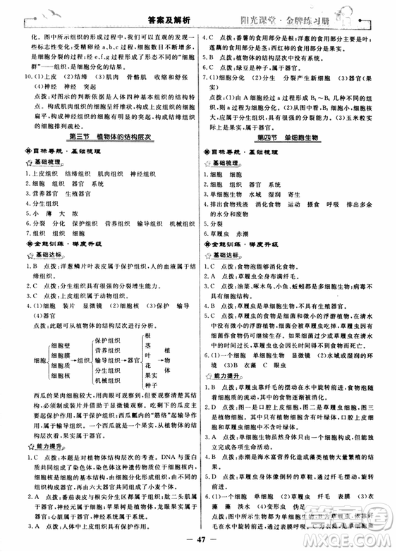 2018年陽(yáng)光課堂金牌練習(xí)冊(cè)生物學(xué)七年級(jí)上冊(cè)人教版參考答案