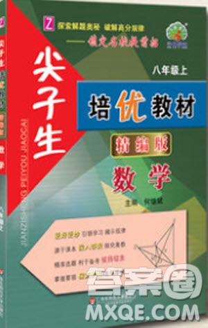 2018秋尖子生培優(yōu)教材精編版數(shù)學(xué)八年級(jí)上冊(cè)參考答案