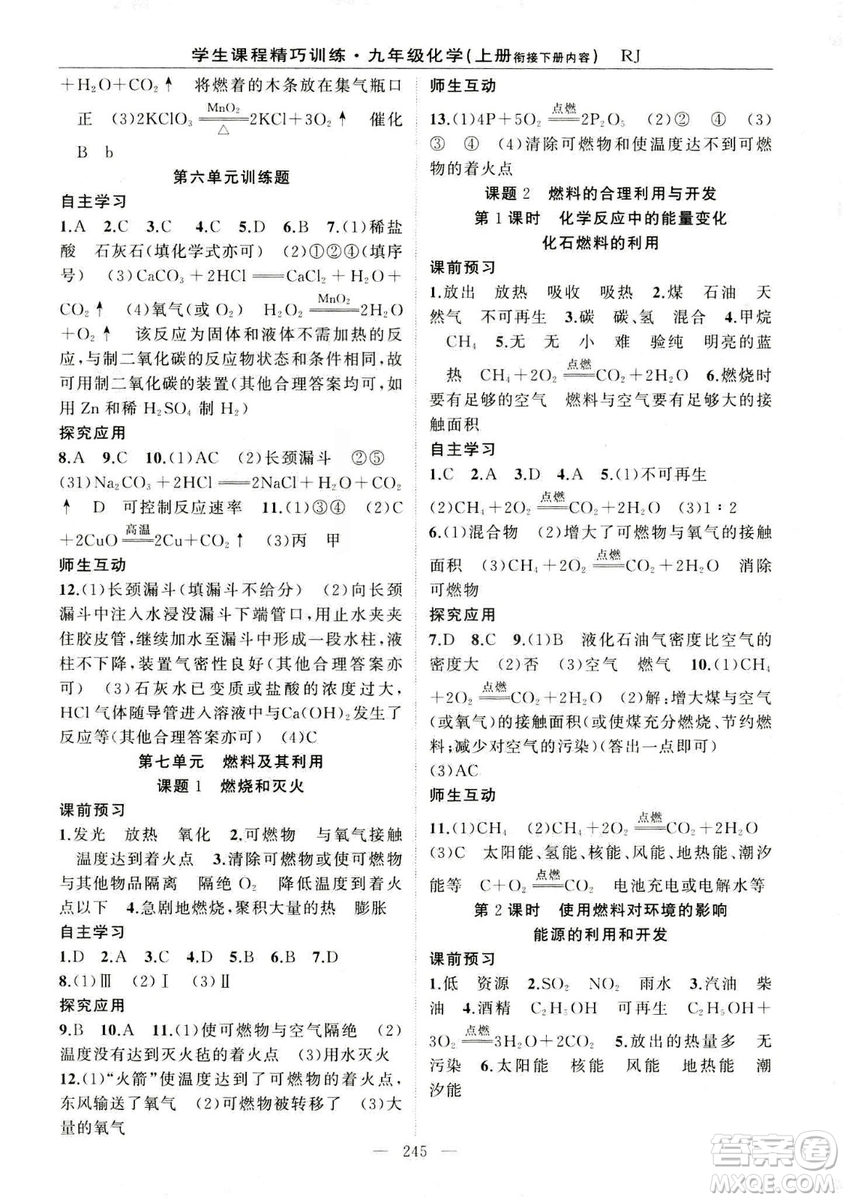 2018版學生課程精巧訓(xùn)練化學八年級上冊人教RJ版答案